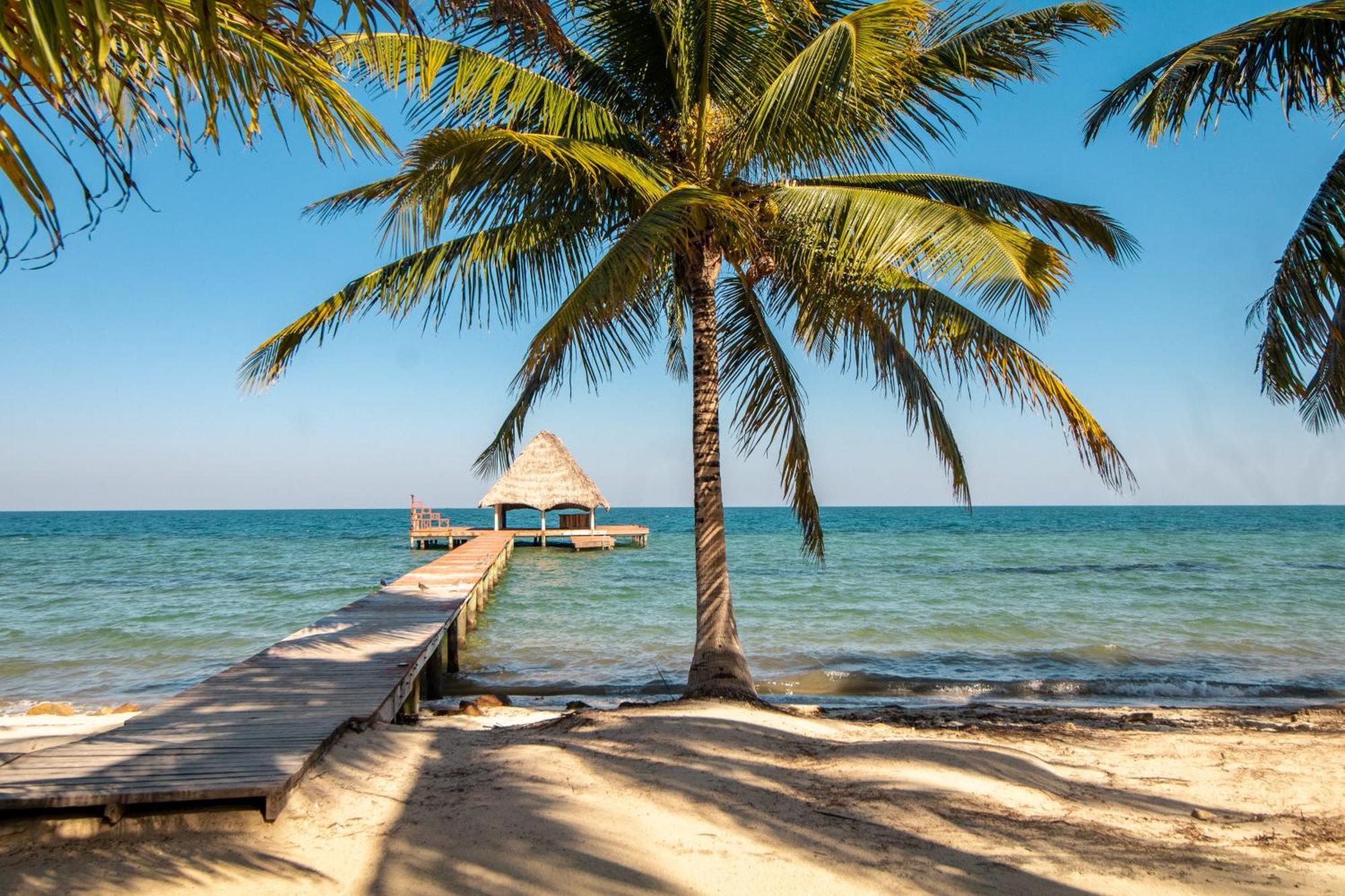 Beachside Villas Gold Standard Certified Placencia Rum bild