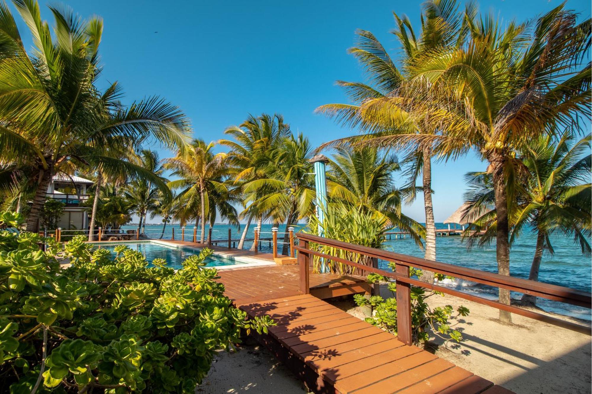 Beachside Villas Gold Standard Certified Placencia Rum bild