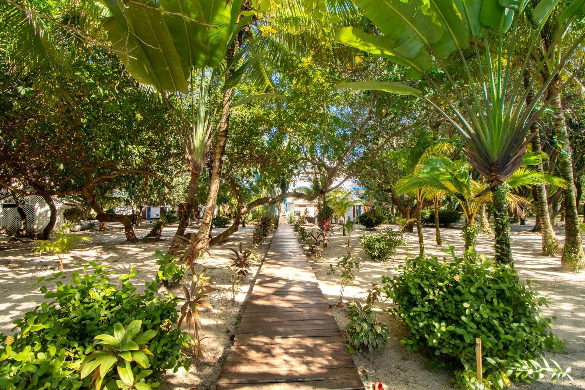 Beachside Villas Gold Standard Certified Placencia Rum bild