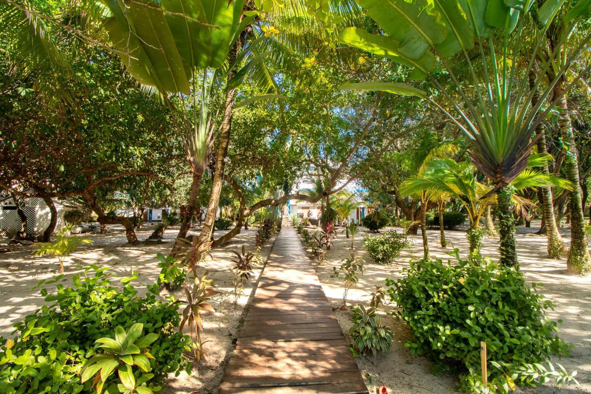 Beachside Villas Gold Standard Certified Placencia Rum bild