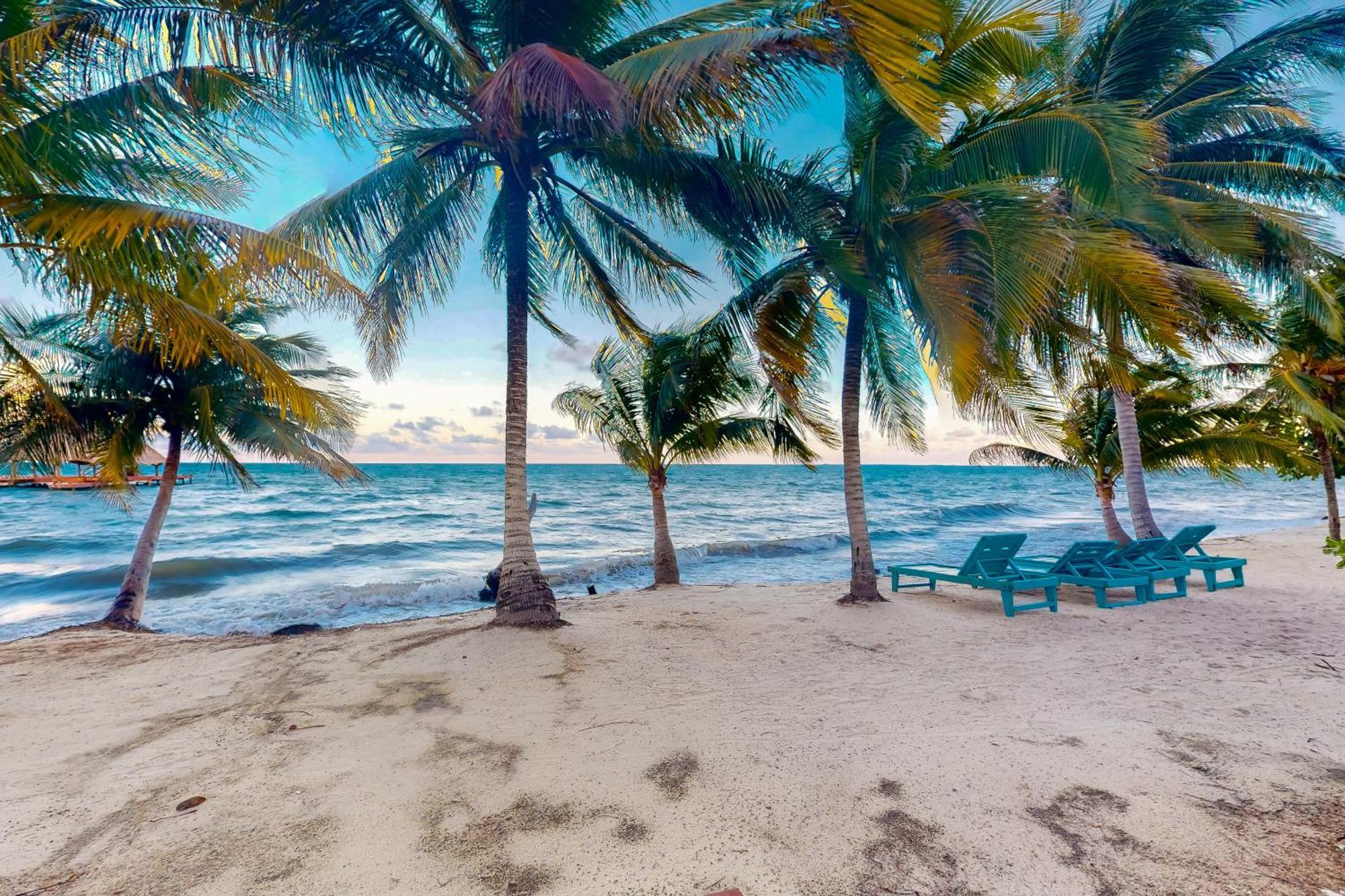 Beachside Villas Gold Standard Certified Placencia Rum bild